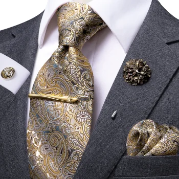 Hi-Tie Paisley Silk Neck Tie and Cufflinks Set for Men