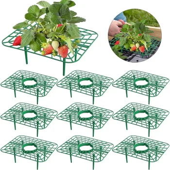 Strawberry Plant Support Frames for Garden